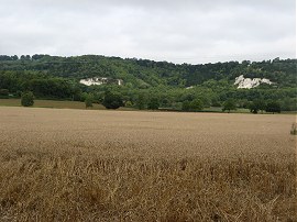 View towards the North Downs